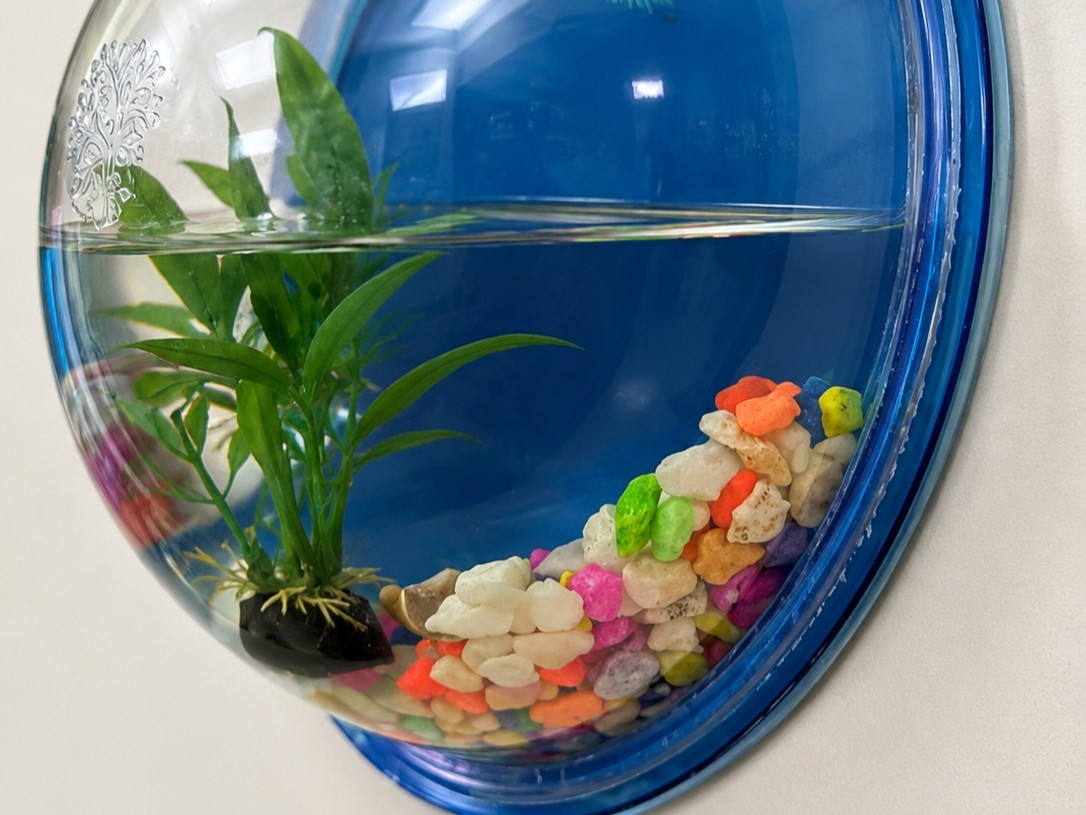 Aquarium corner